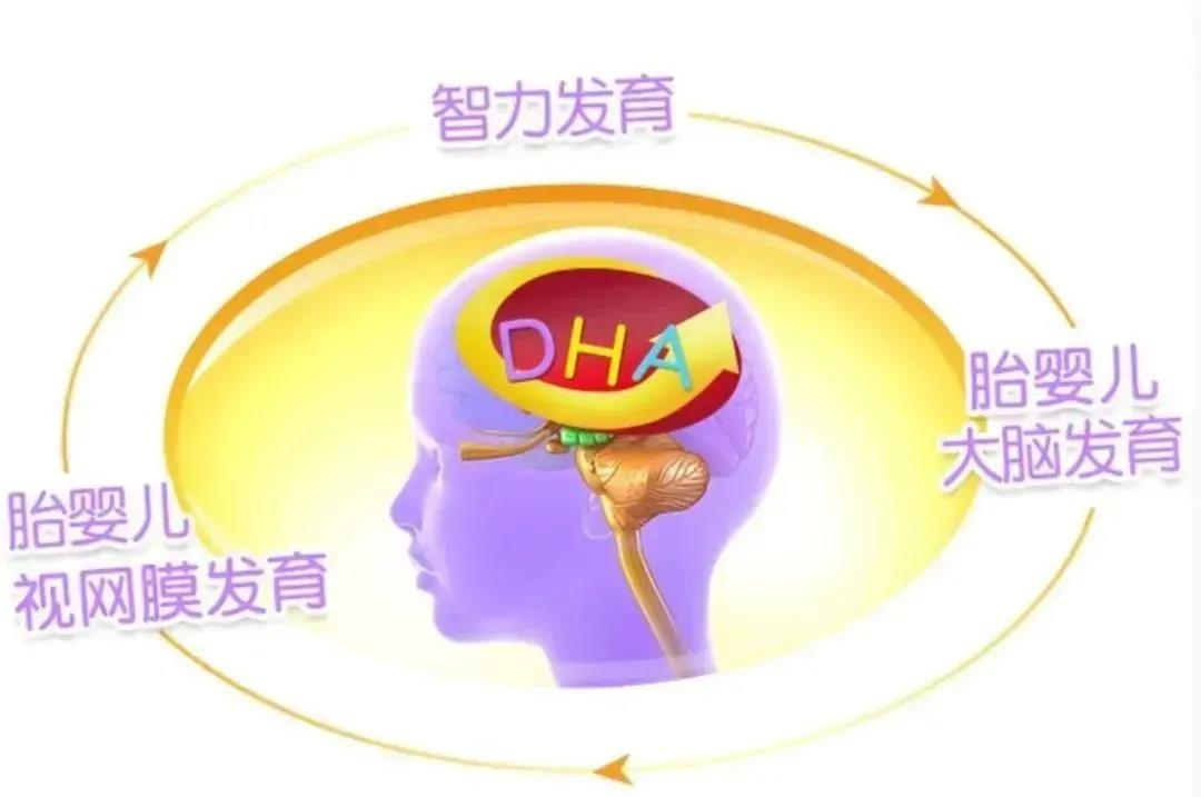 微信圖片_20220112164717.jpg