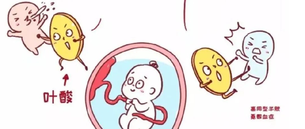 孕期 3 種錯誤葉酸吃法，葉酸你吃對了嗎
