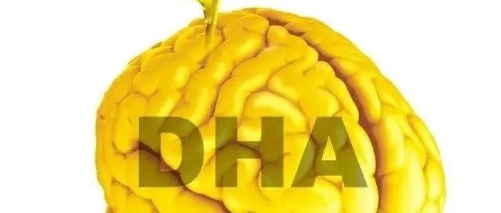 DHA補充的最佳時期，你家孩子及時補上了嗎？