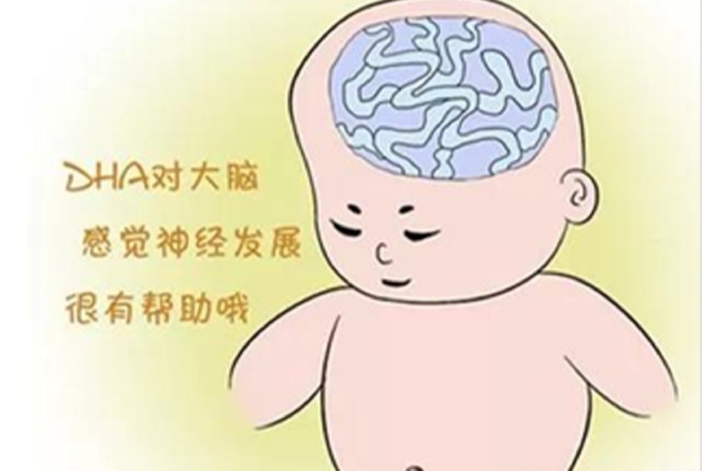 DHA—為“ 腦 ”助力，補與不補差別有多大？