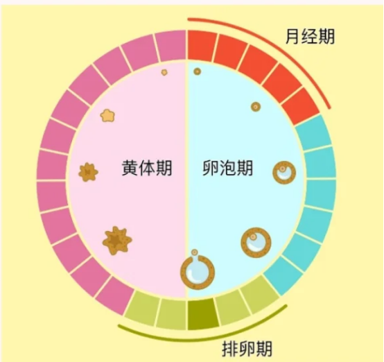 微信圖片_20250119101955.png