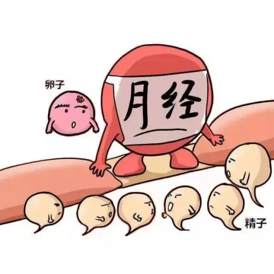 微信圖片_20250119101958.png