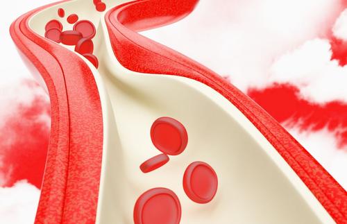 Functional food to help reduce blood pressure (1)