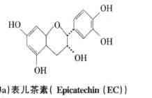 Classification and analysis of plant functional food 1